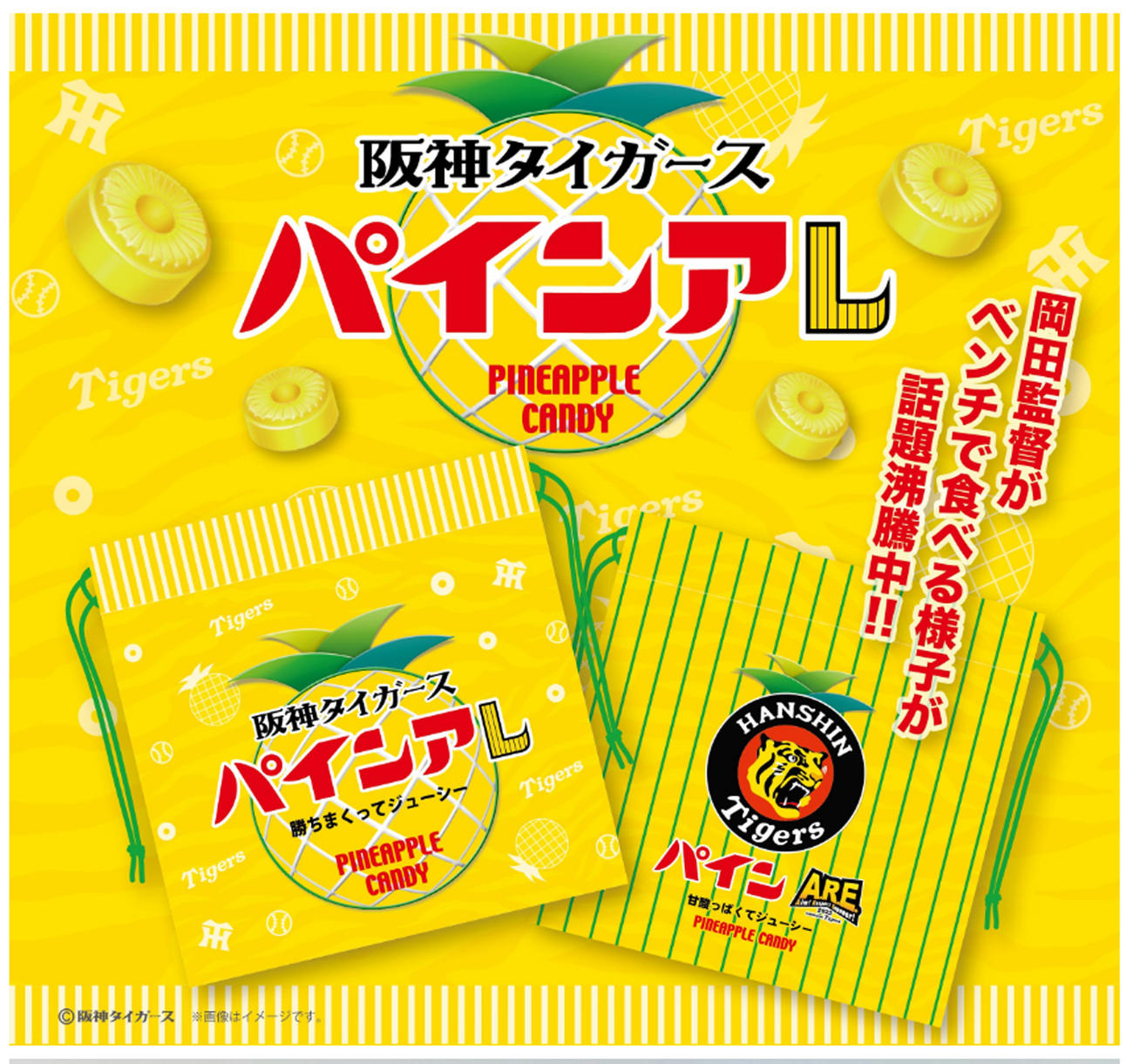 阪神タイガース「パインアレ」（ヘソプロダクション提供）