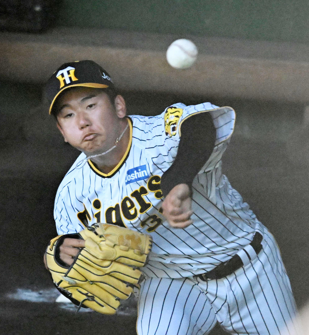 ブルペンで投球練習を行う門別（撮影・前岡正明）