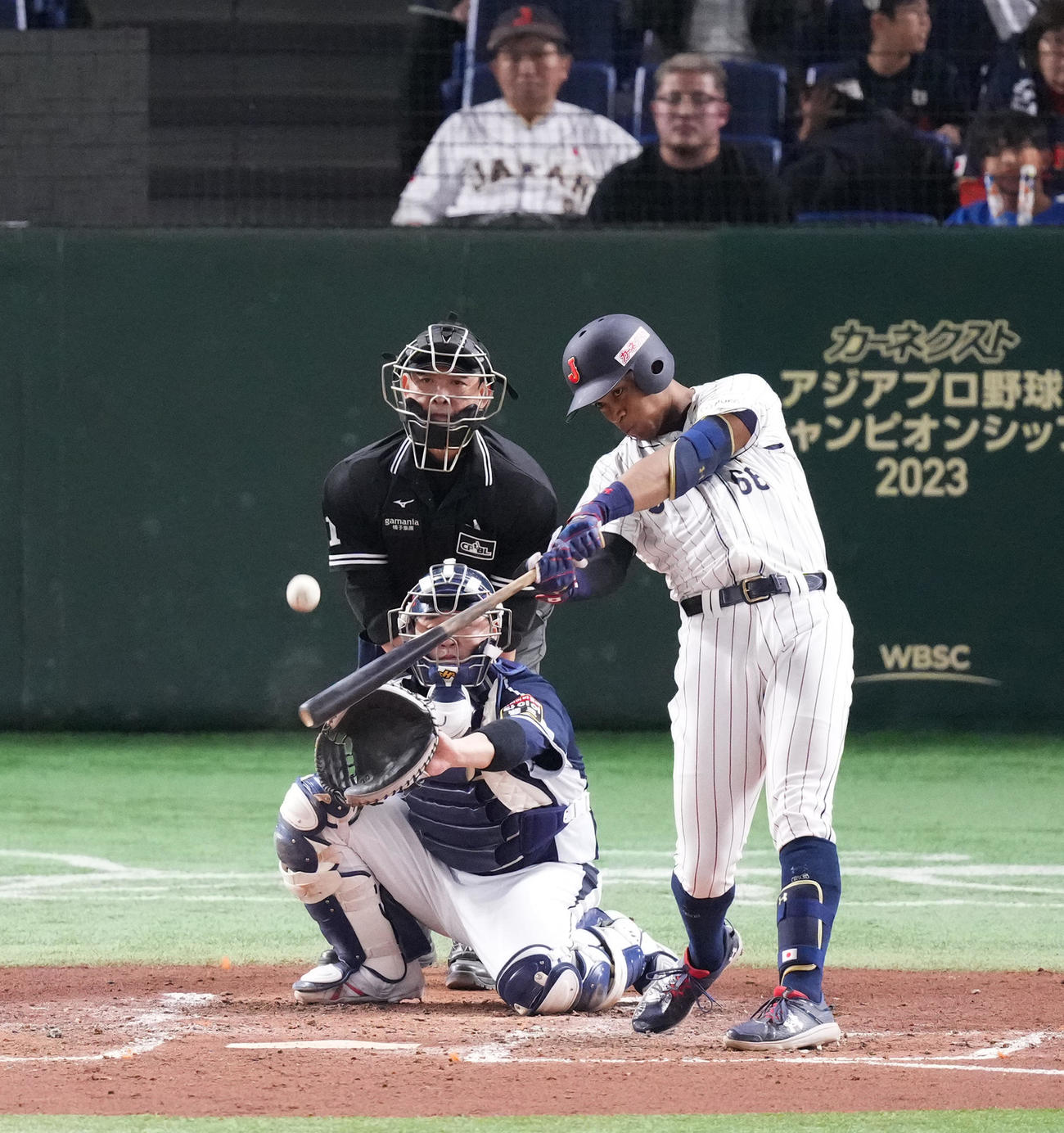 日本対韓国　4回裏日本無死、中越えソロ本塁打を放つ万波（撮影・菅敏）