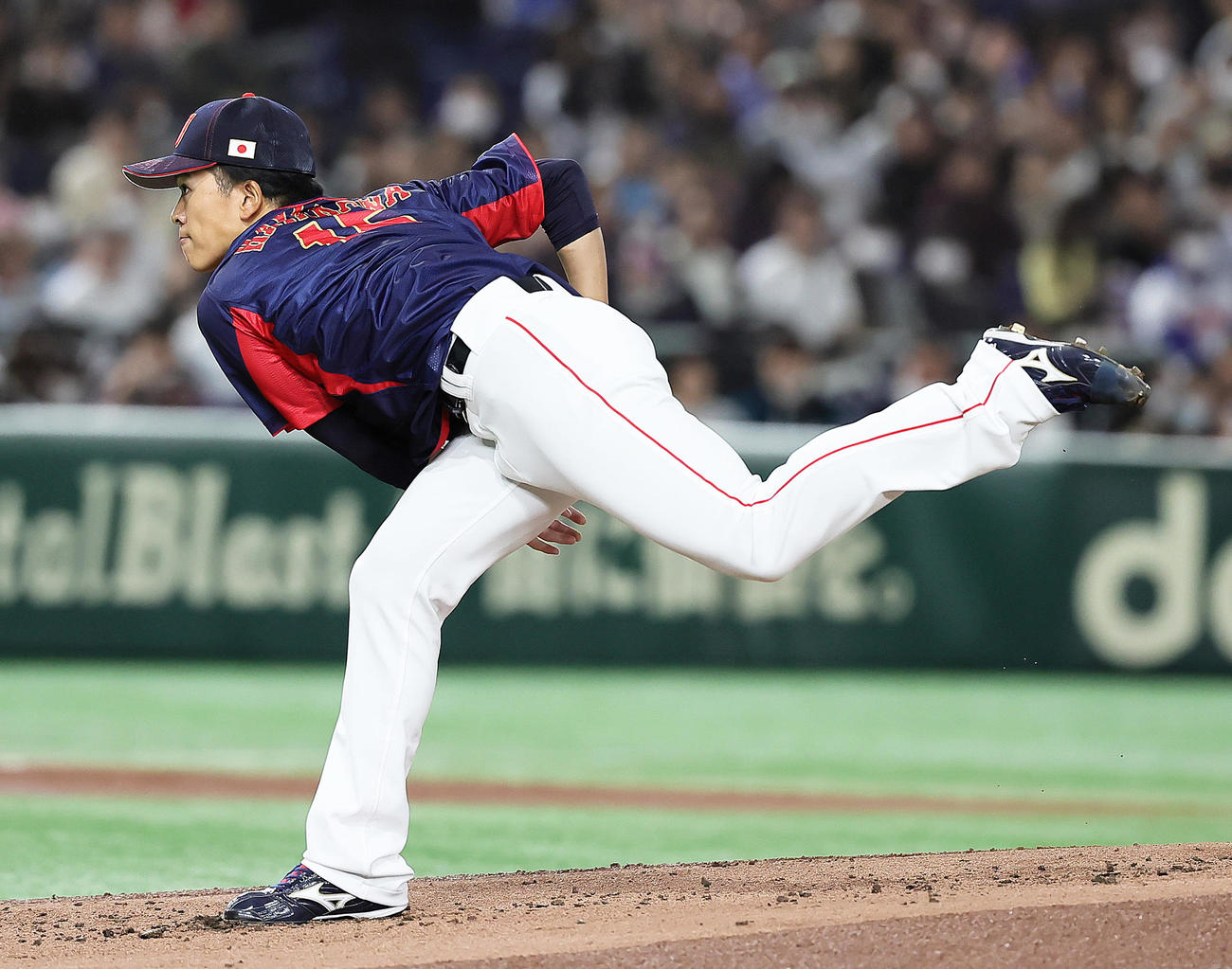 日本対オーストラリア　日本先発の早川（撮影・足立雅史）