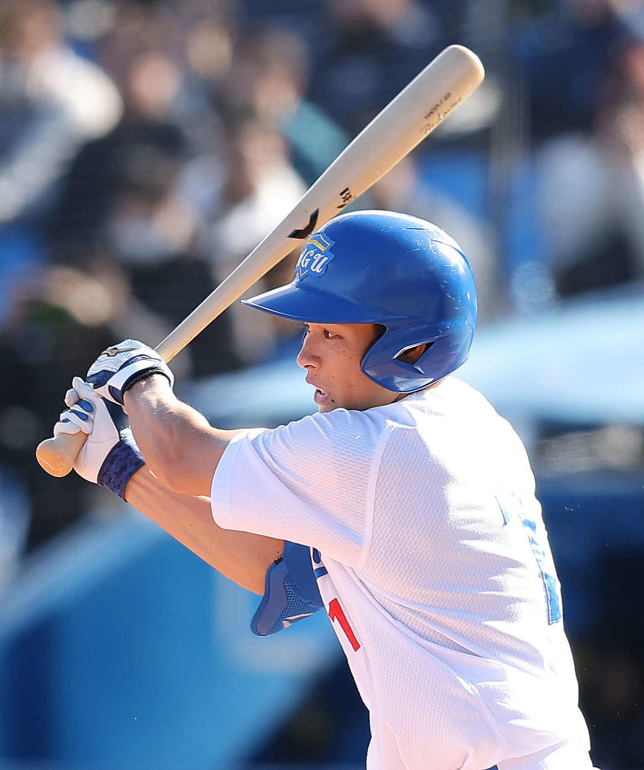 青学大対日本文理大　2回表青学大2死一、二塁、左前適時打を放つ中島（撮影・河田真司）