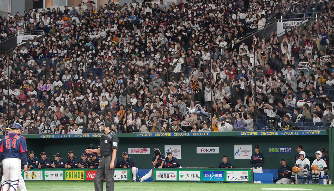 日本対オーストラリア　8回裏、観客のウェーブで会場が盛り上がる（撮影・たえ見朱実）