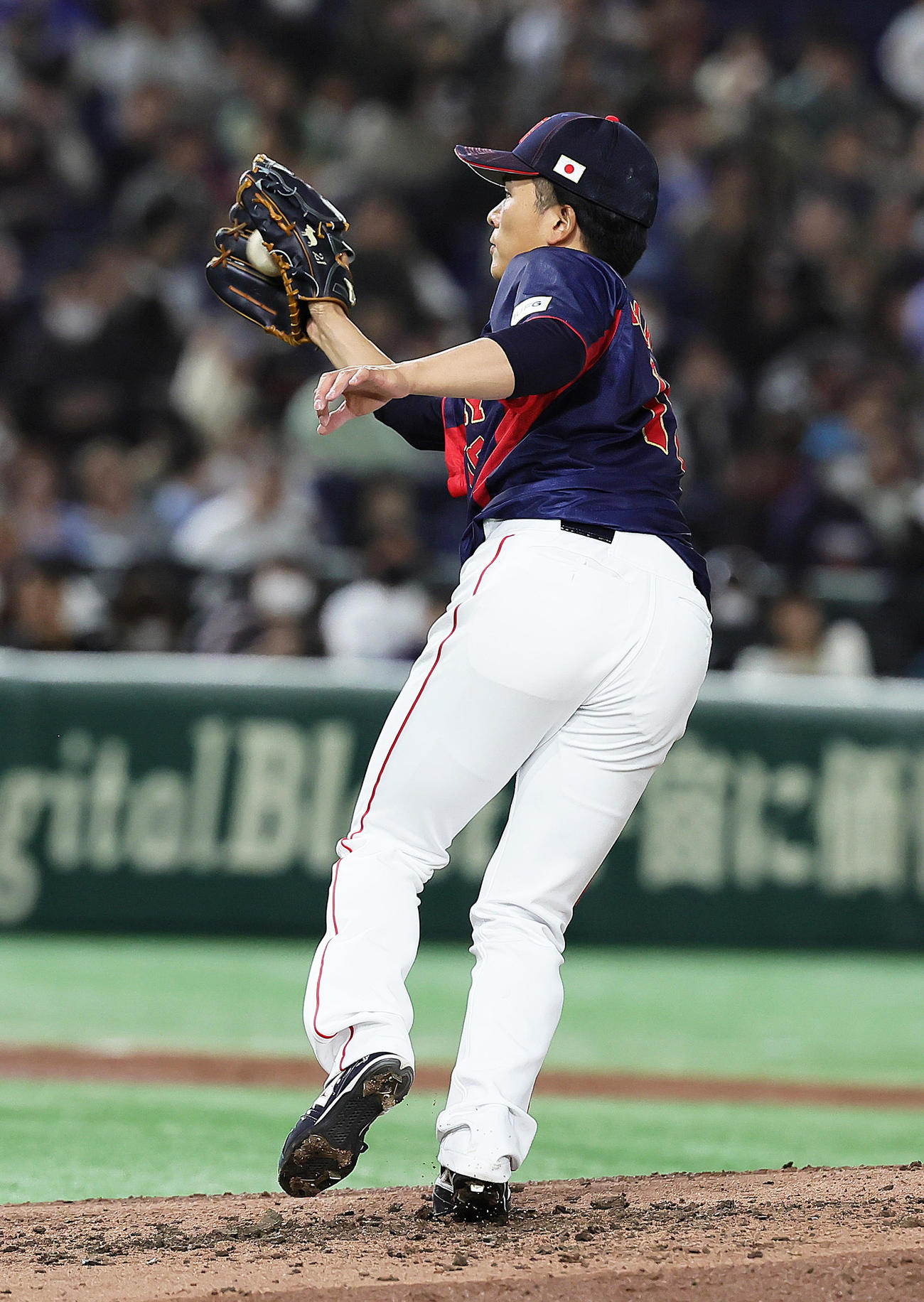 日本対オーストラリア　4回裏オーストラリア1死、ホワイトフィールドの打球を落ち着いて処理し投ゴロとする早川（撮影・足立雅史）