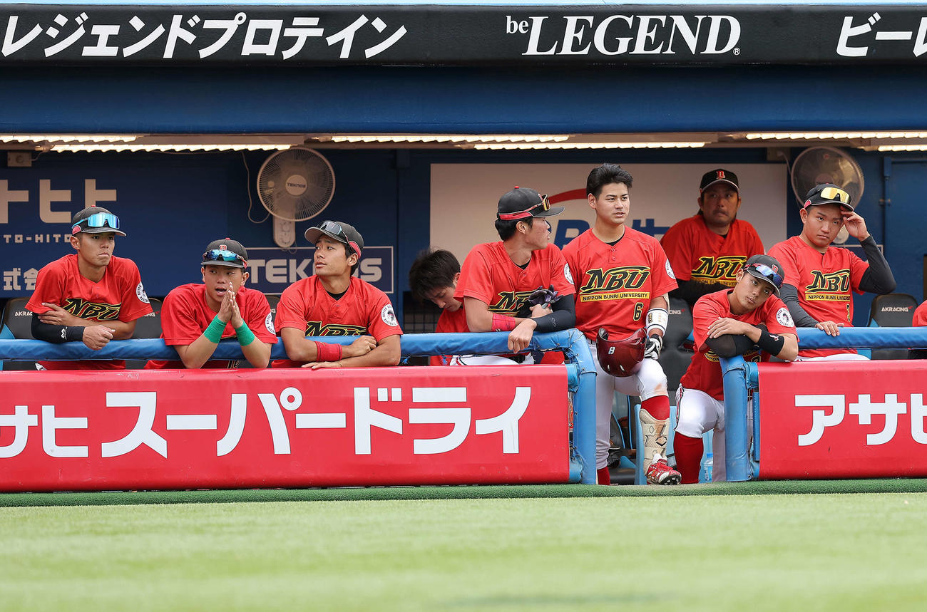 青学大対日本文理大　9回裏、戦況を見守る日本文理大ナイン（撮影・河田真司）