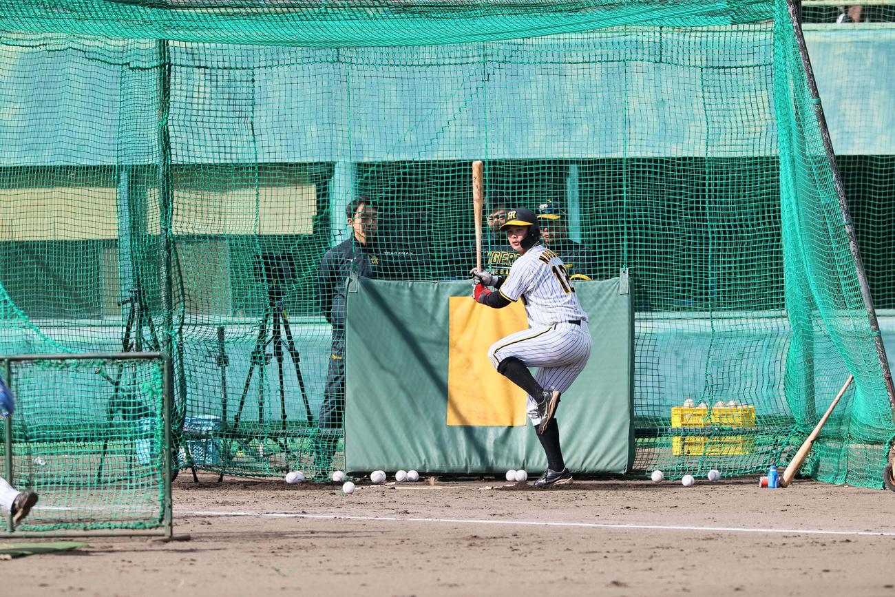 ランチ特打、野口恭佑の打撃（撮影・上田博志）
