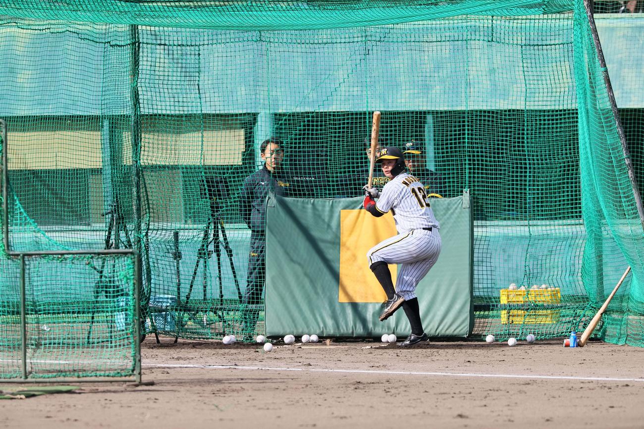 ランチ特打、野口恭佑の打撃（撮影・上田博志）