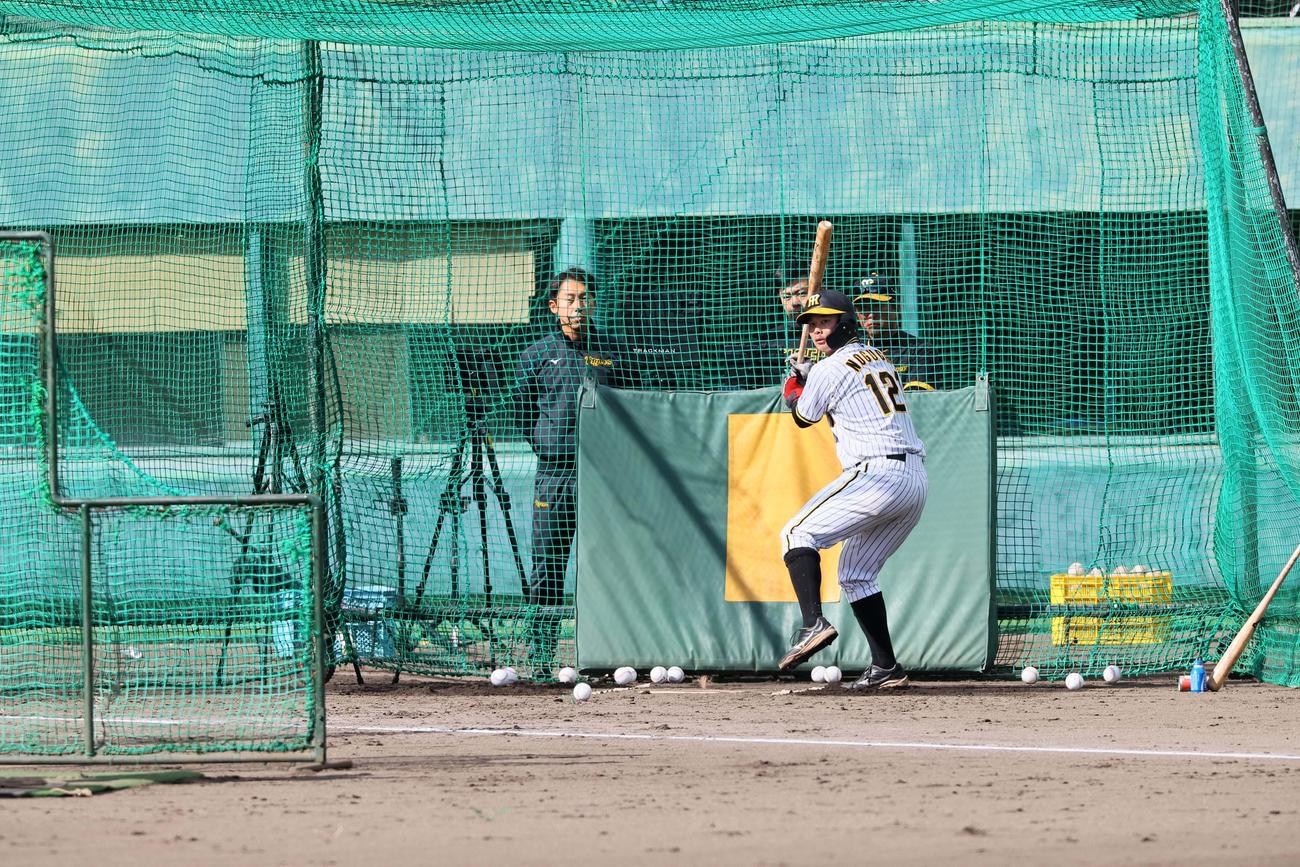 ランチ特打、野口恭佑の打撃（撮影・上田博志）