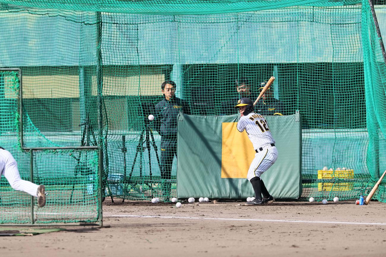 ランチ特打、野口恭佑の打撃（撮影・上田博志）