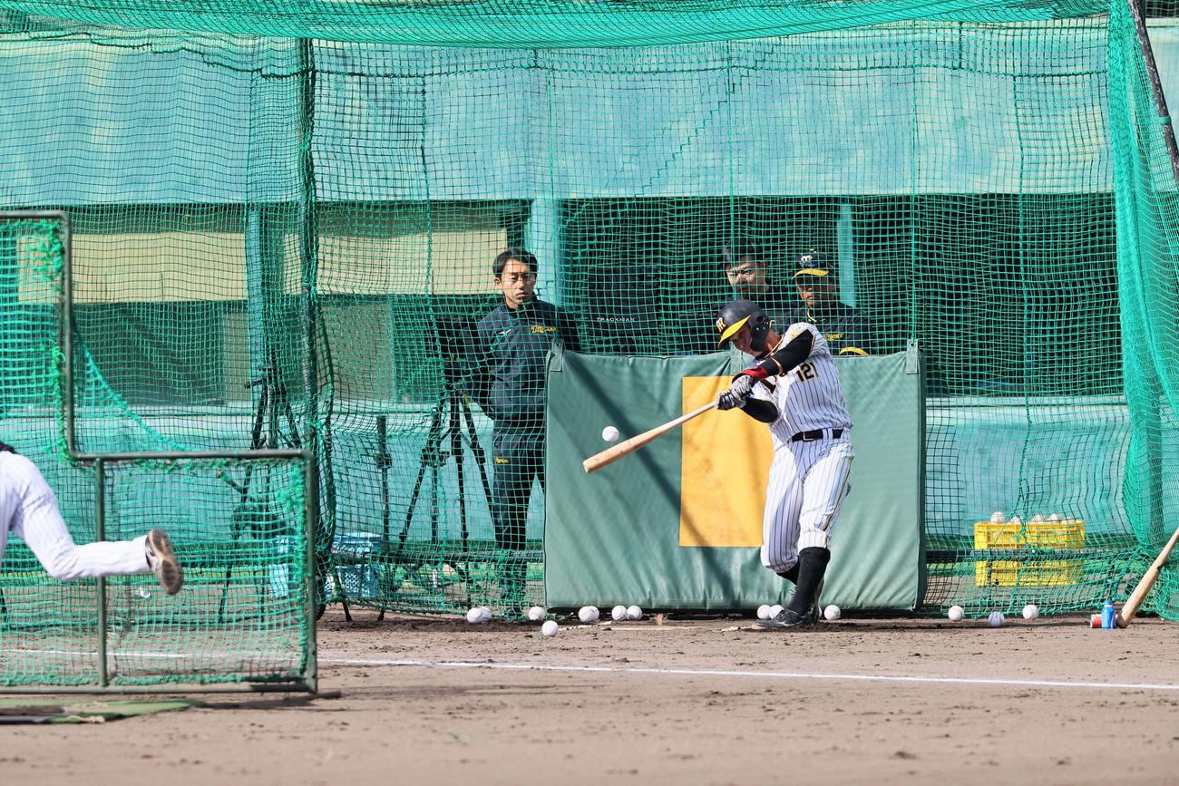 ランチ特打、野口恭佑の打撃（撮影・上田博志）