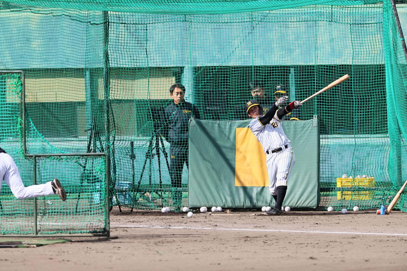 ランチ特打で28本の柵越えを放った野口（撮影・上田博志）