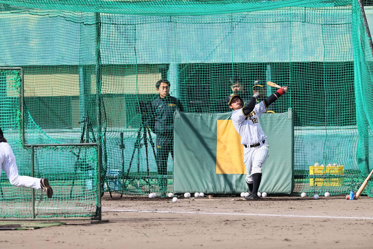 ランチ特打、野口恭佑の打撃（撮影・上田博志）