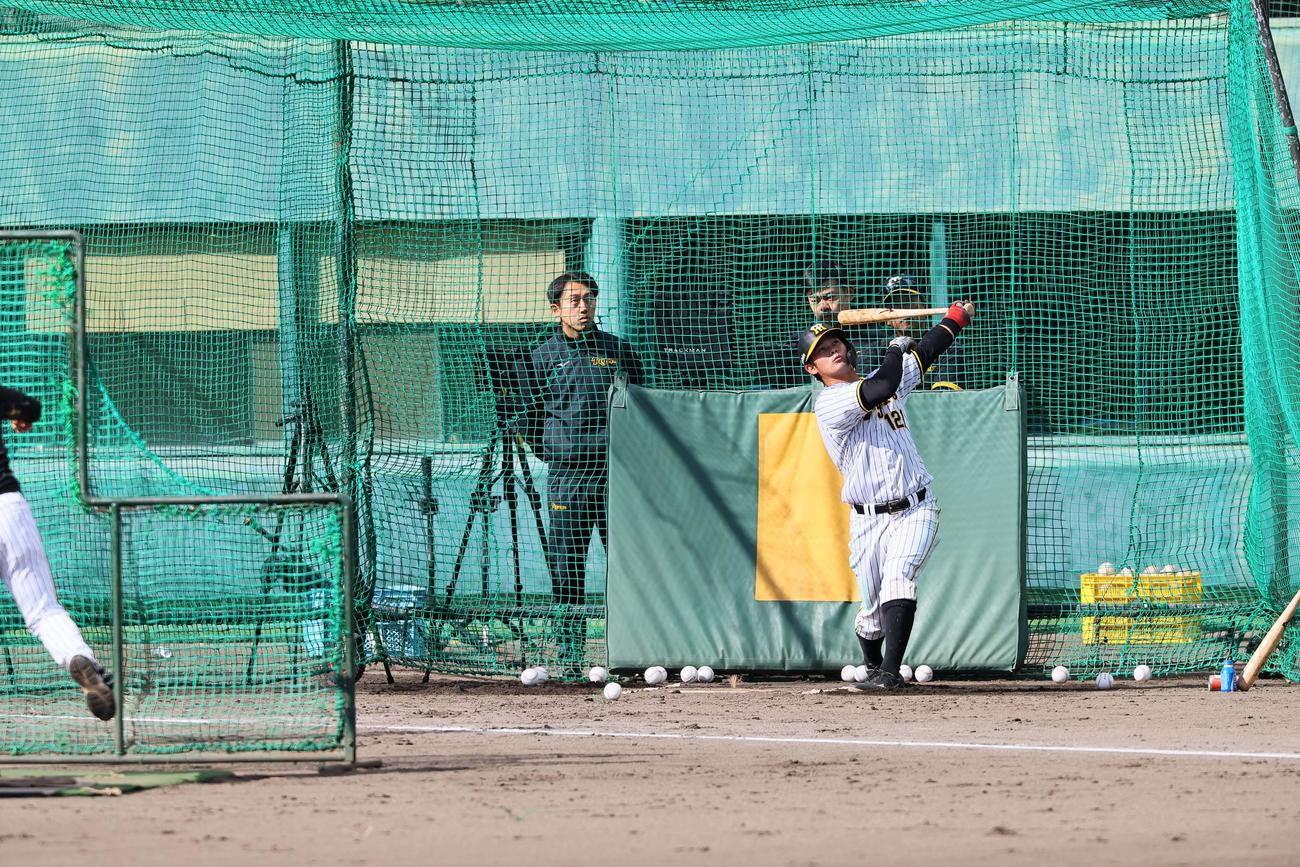 ランチ特打、野口恭佑の打撃（撮影・上田博志）