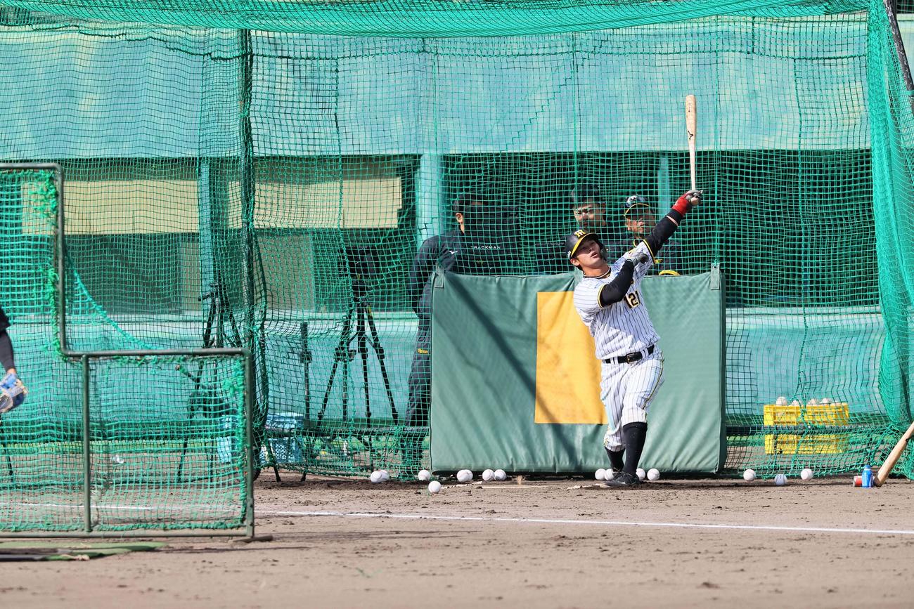 ランチ特打、野口恭佑の打撃（撮影・上田博志）