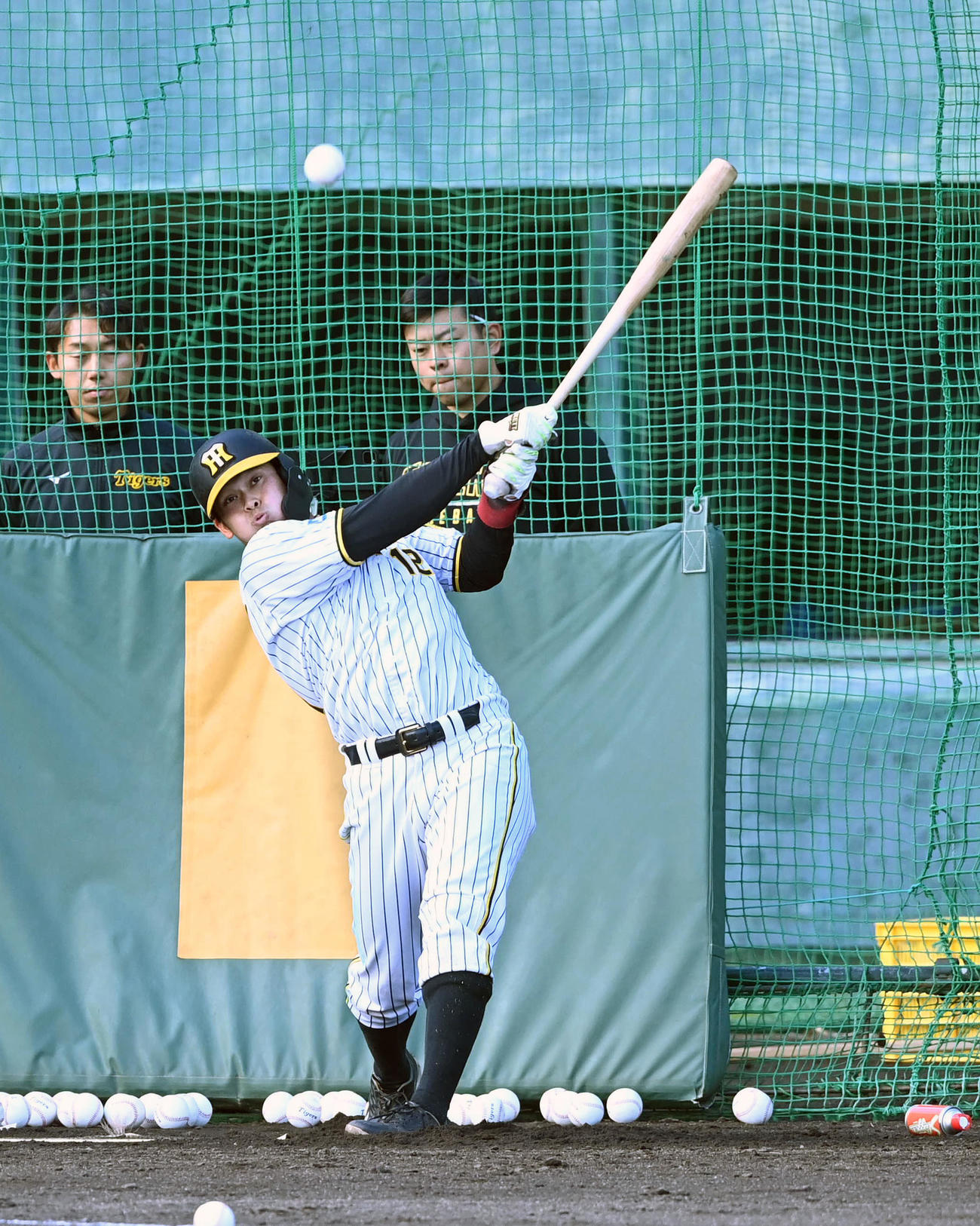 ランチ特打で28本の柵越えを放った野口（撮影・前岡正明）