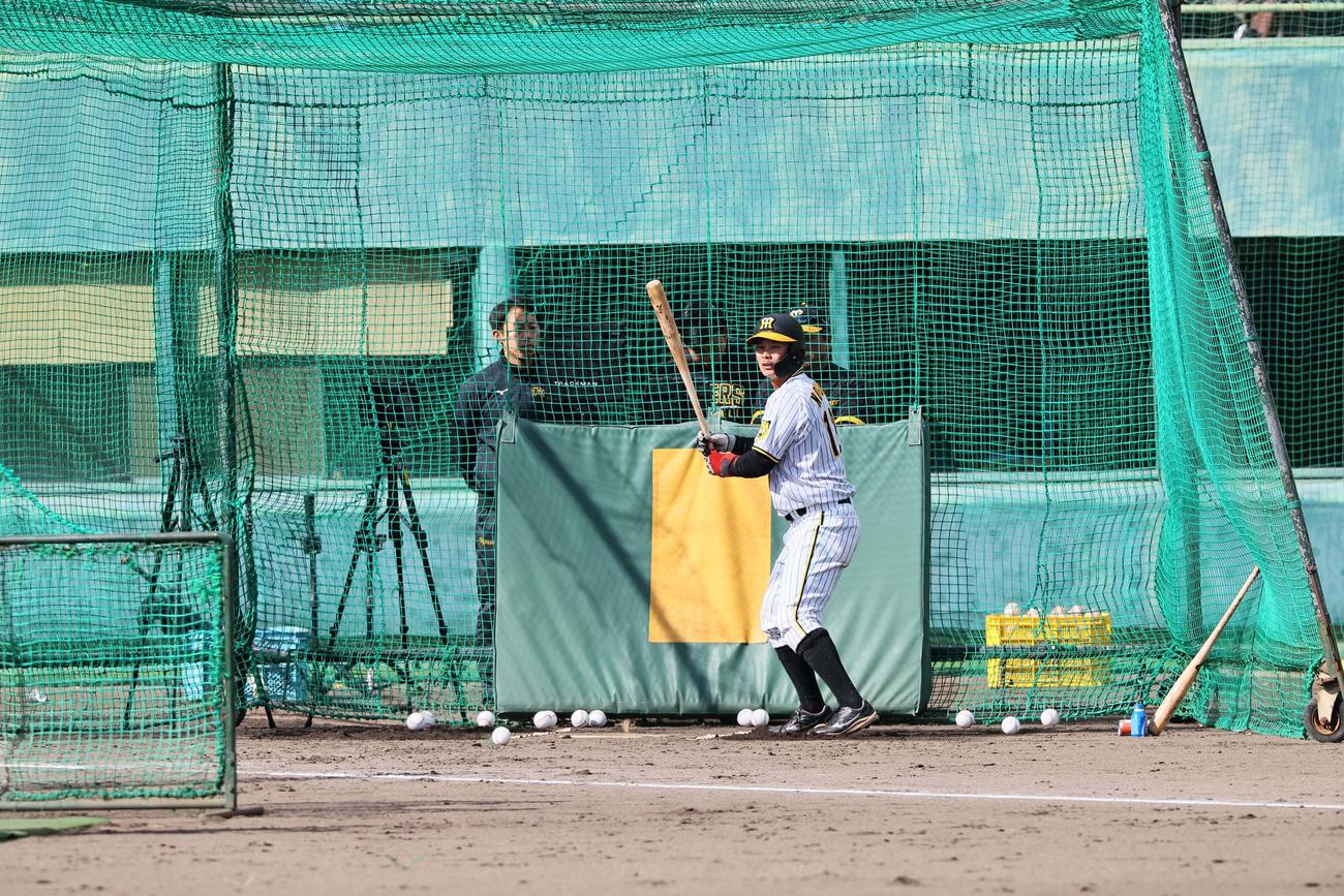 ランチ特打、野口恭佑の打撃（撮影・上田博志）