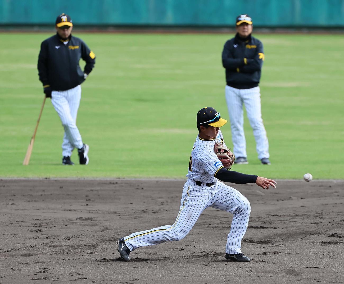 岡田監督（左）平田ヘッドコーチ（右）が見守る中、守備練習で送球する戸井（撮影・上田博志）