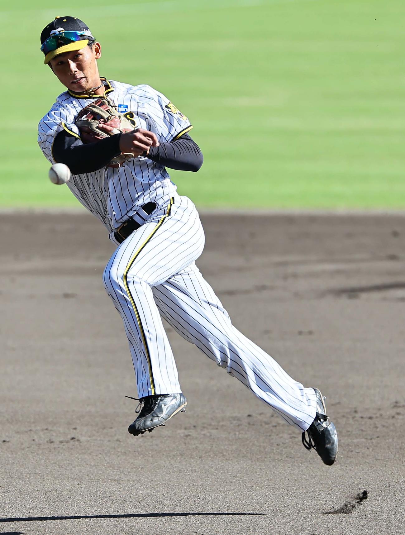 シートノックで軽快な動きを見せる戸井（撮影・上田博志）