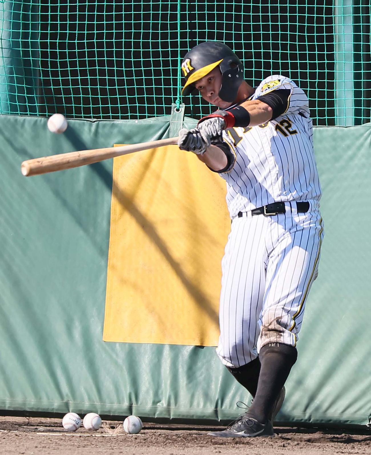 フリー打撃練習をする野口（撮影・上田博志）
