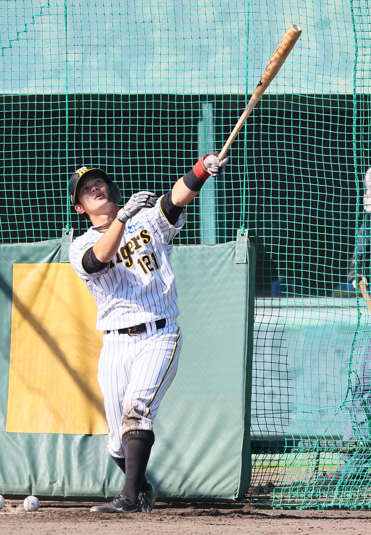 フリー打撃練習をする野口（撮影・上田博志）