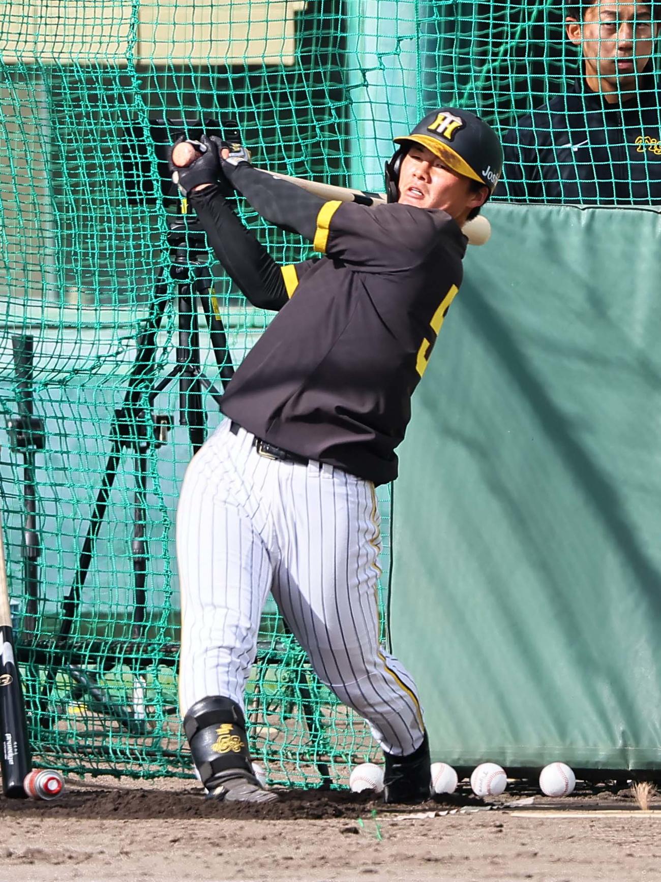 阪神前川右京（2023年11月18日撮影）