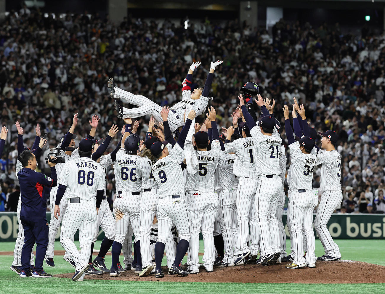 日本対韓国　サヨナラ打を放ち胴上げされる門脇（撮影・足立雅史）
