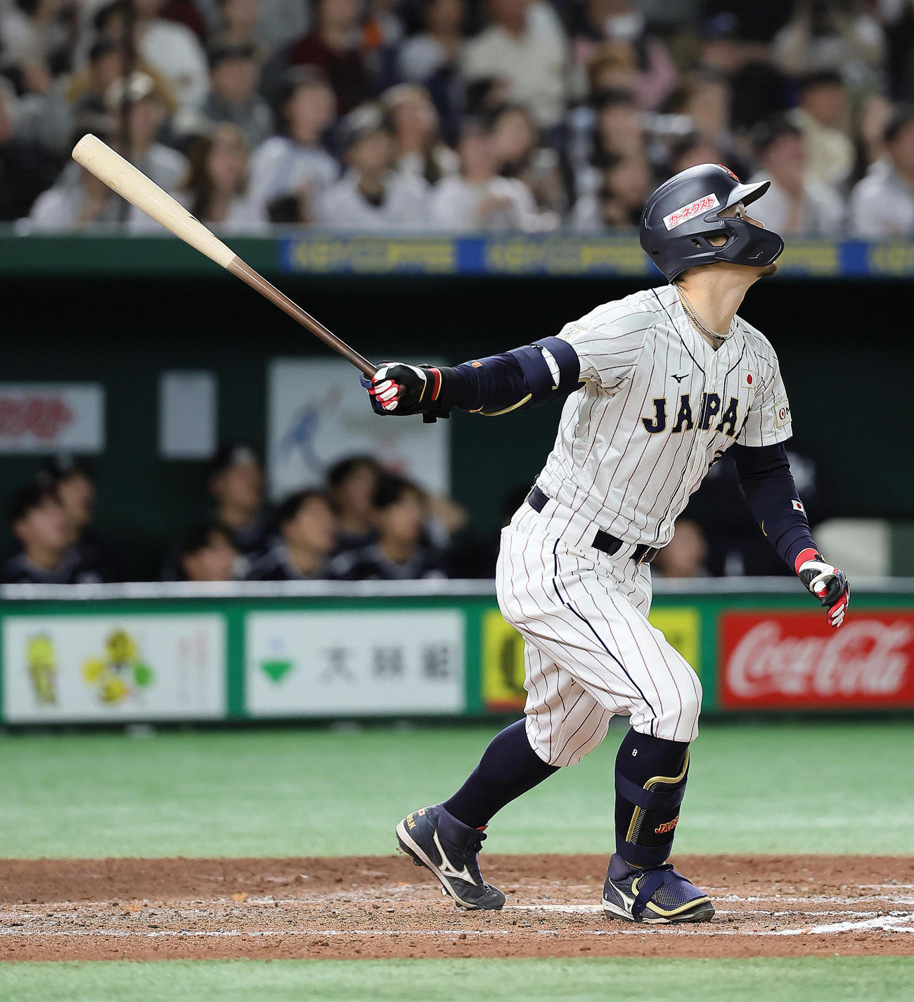 日本対韓国　6回裏日本1死三塁、佐藤輝は中犠飛を放つ（撮影・足立雅史）