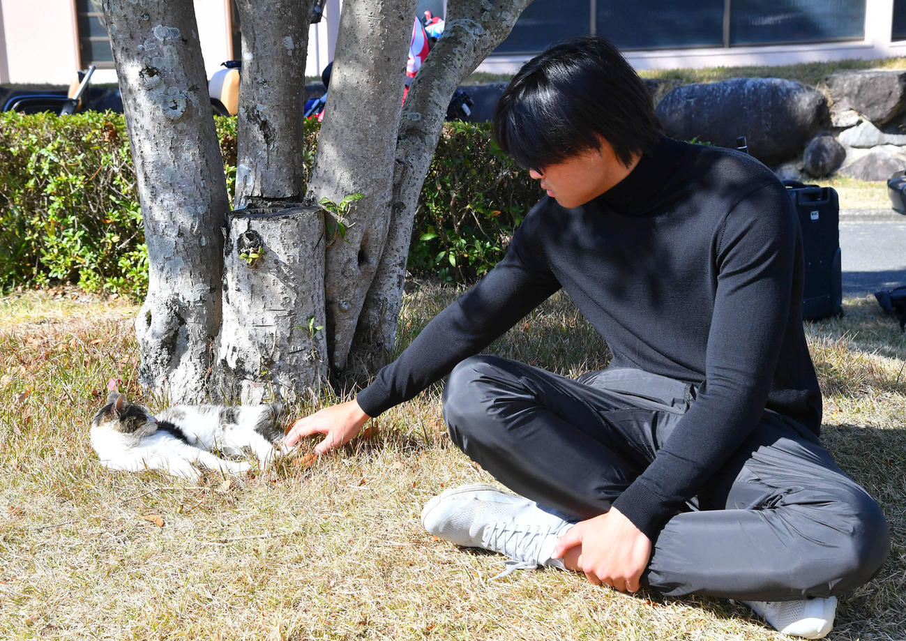 ゴルフ場にすみつく猫をなでる笹川（撮影・岩下翔太）