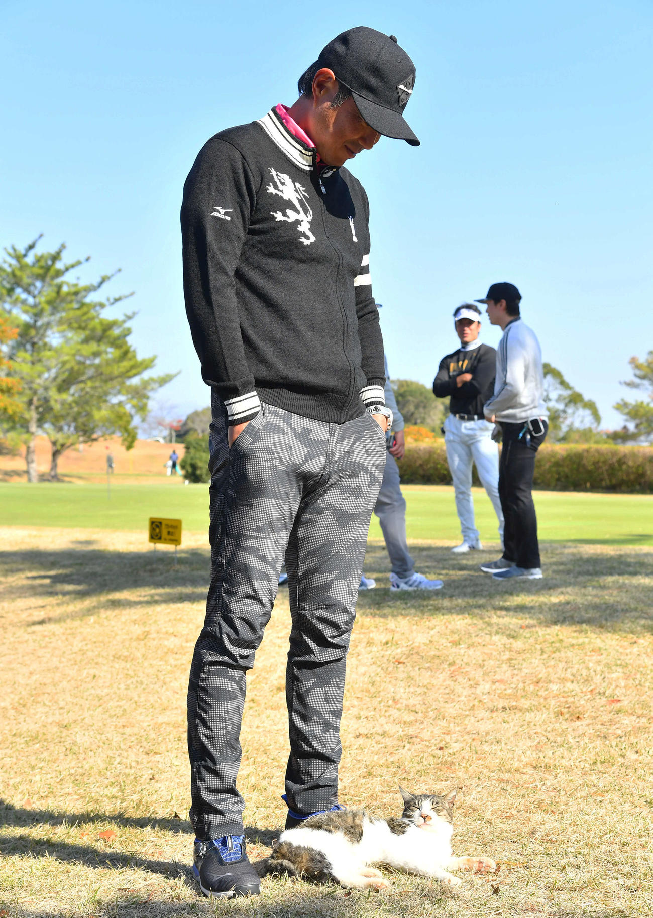 小久保監督の足元から離れない、ゴルフ場にすみつく猫（撮影・岩下翔太）