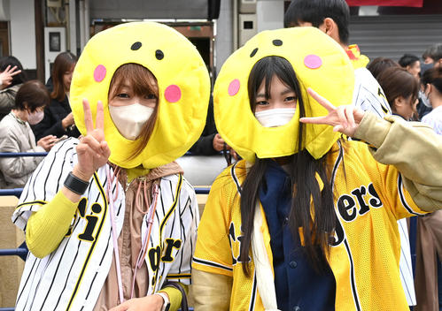 パインアレをかぶった阪神ファン（撮影・石井愛子）