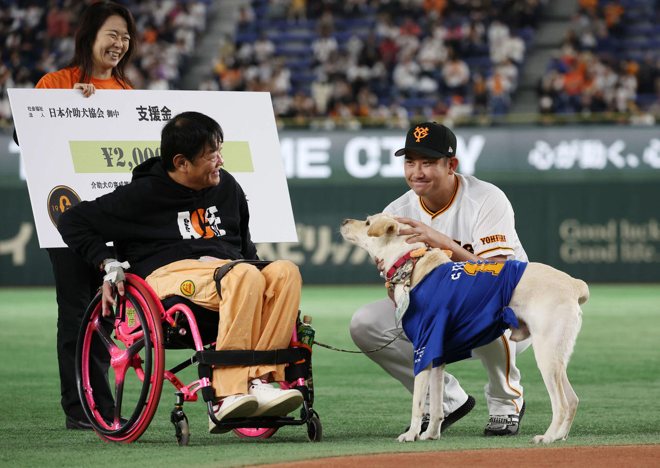 介助犬と触れ合う巨人菅野（撮影・宮地輝）