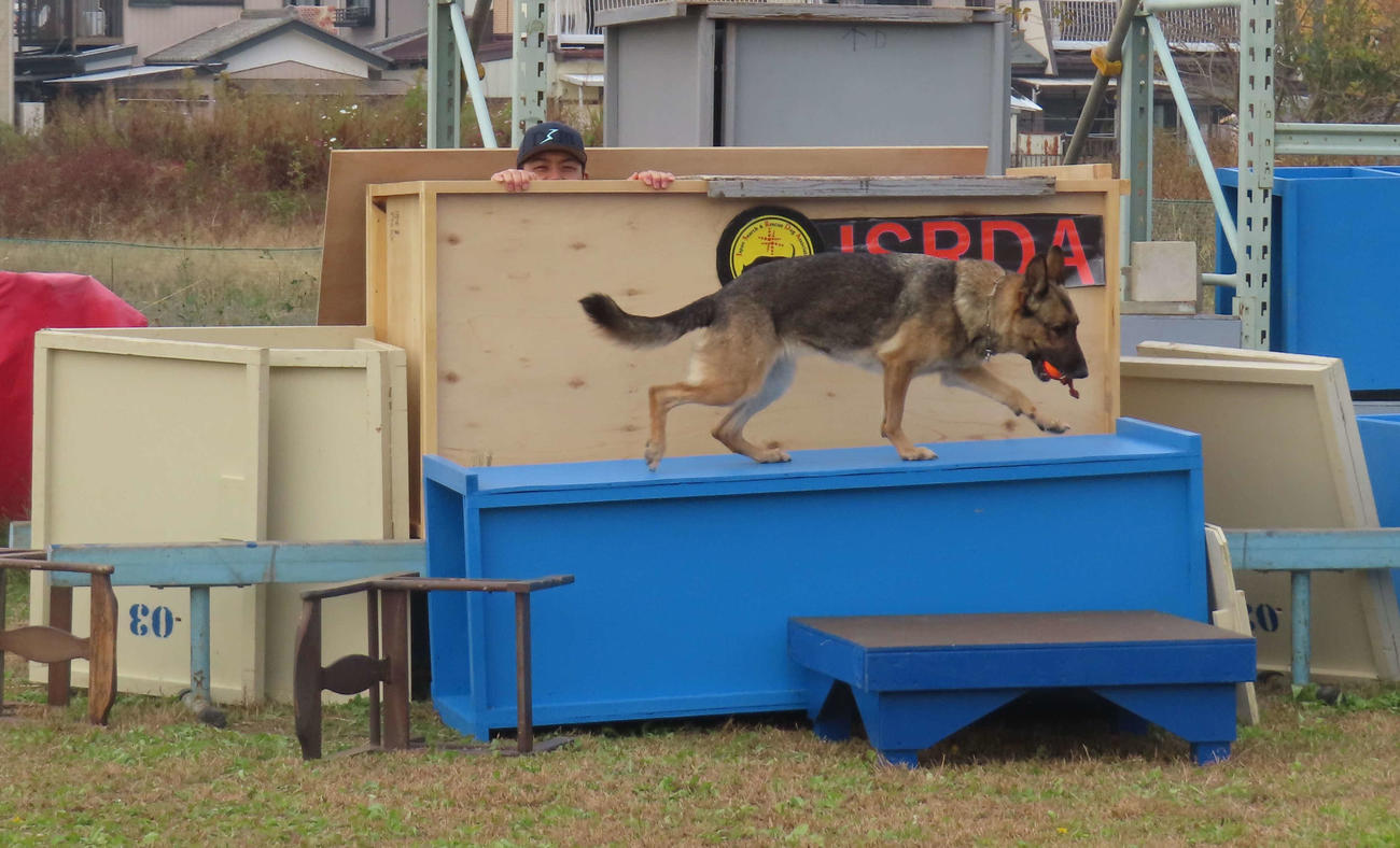 救助犬に発見され顔を出す西武高橋