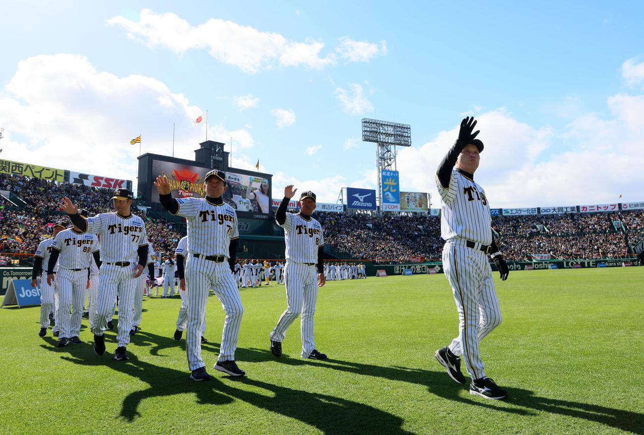 ファン感謝デーで入場する岡田監督ら阪神ナイン（撮影・加藤哉）