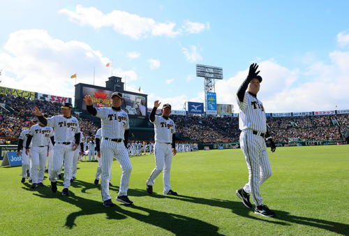 ak i様専用】阪神タイガース ファン感謝デー チケット連番2枚 ak i様専用】阪神タイガース ファン感謝デー チケット連番2枚