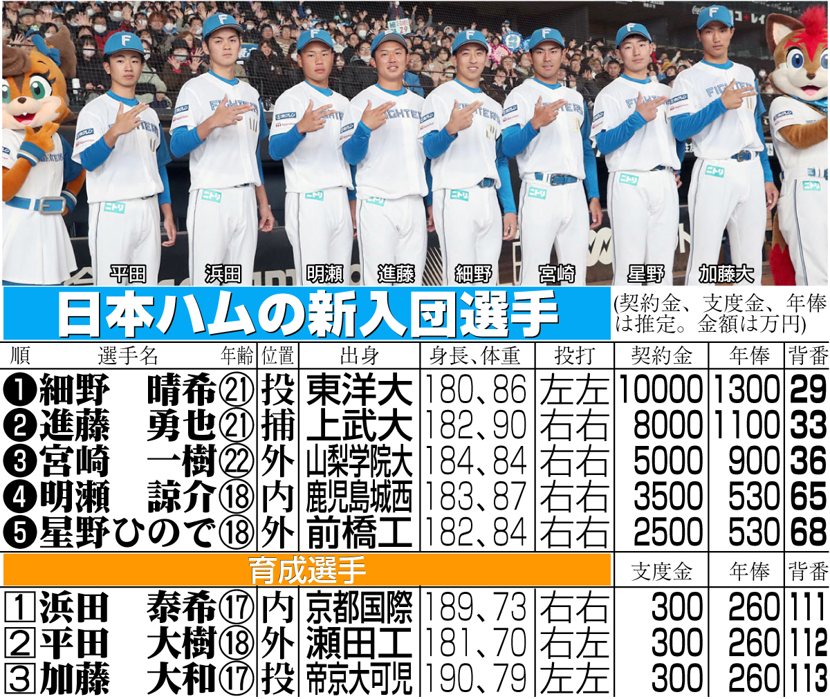 【イラスト】日本ハムの新入団選手一覧