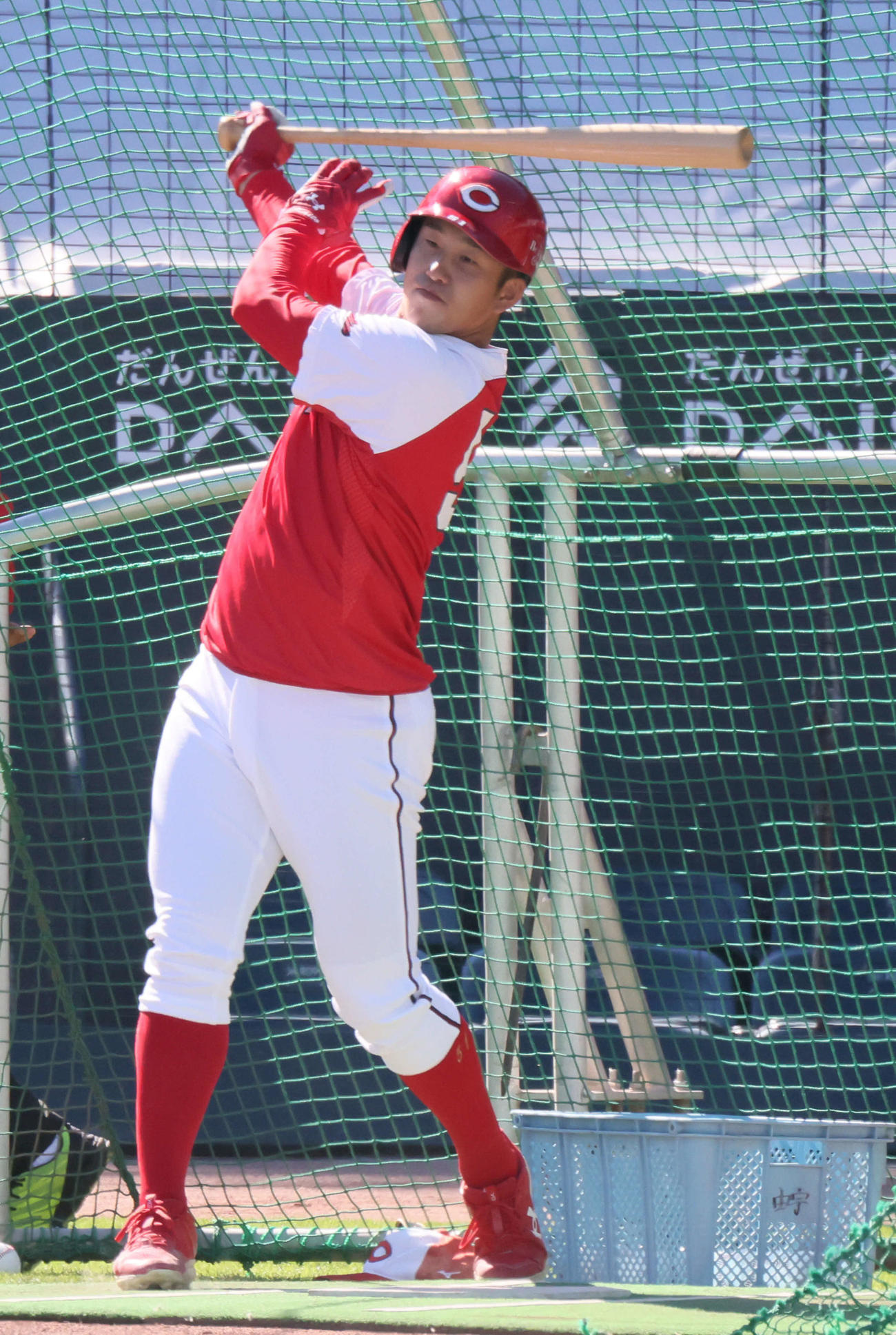 広島小園海斗（2023年10月30日撮影）
