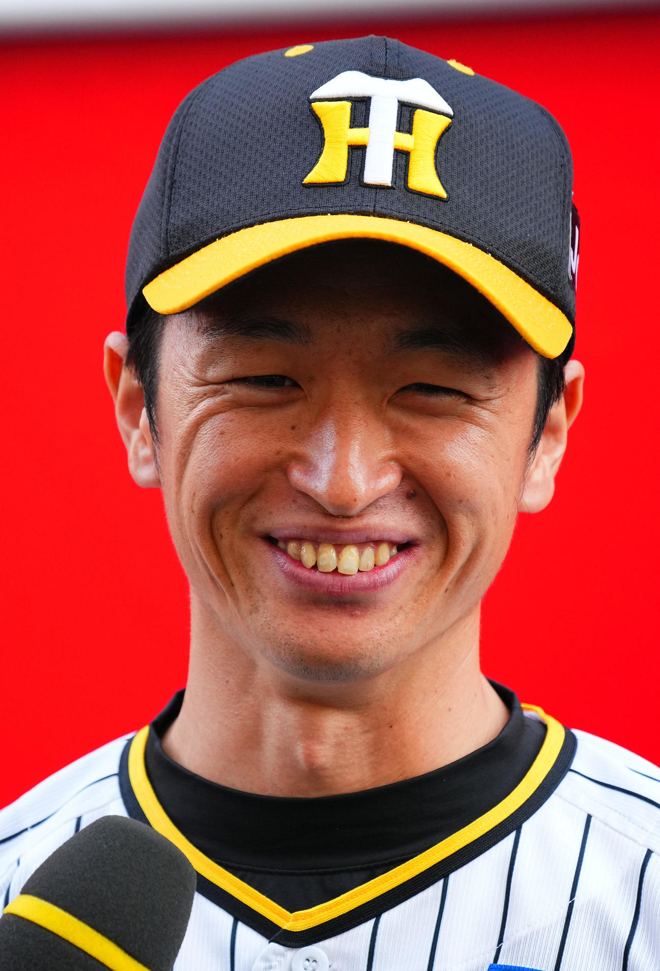 阪神近本光司（2023年11月23日撮影）