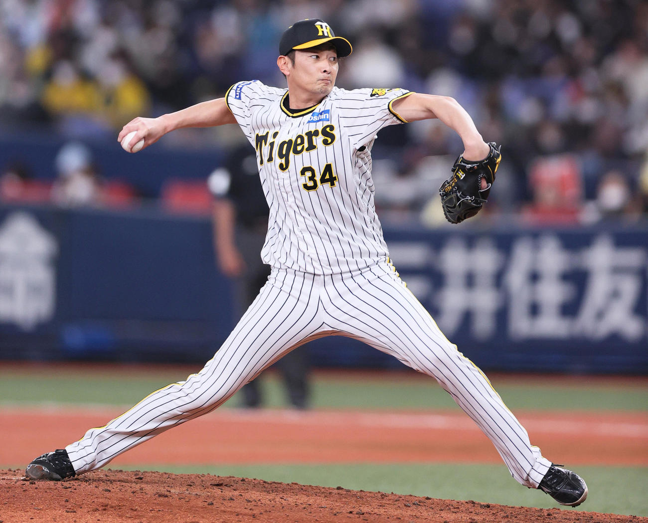 前阪神の二保旭（2023年3月7日撮影）