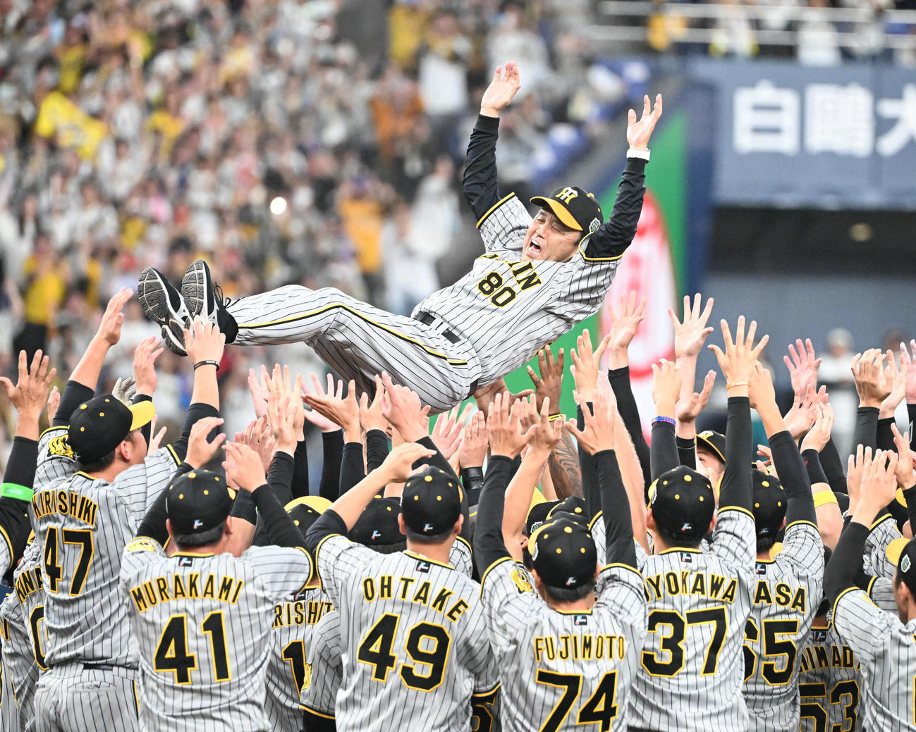 5日、日本一を達成した阪神岡田監督は選手に胴上げされる