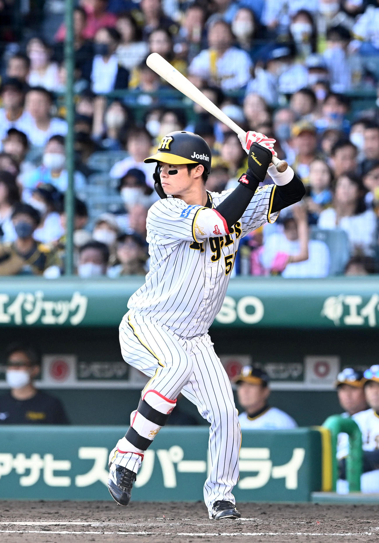 阪神中野拓夢（2023年撮影）