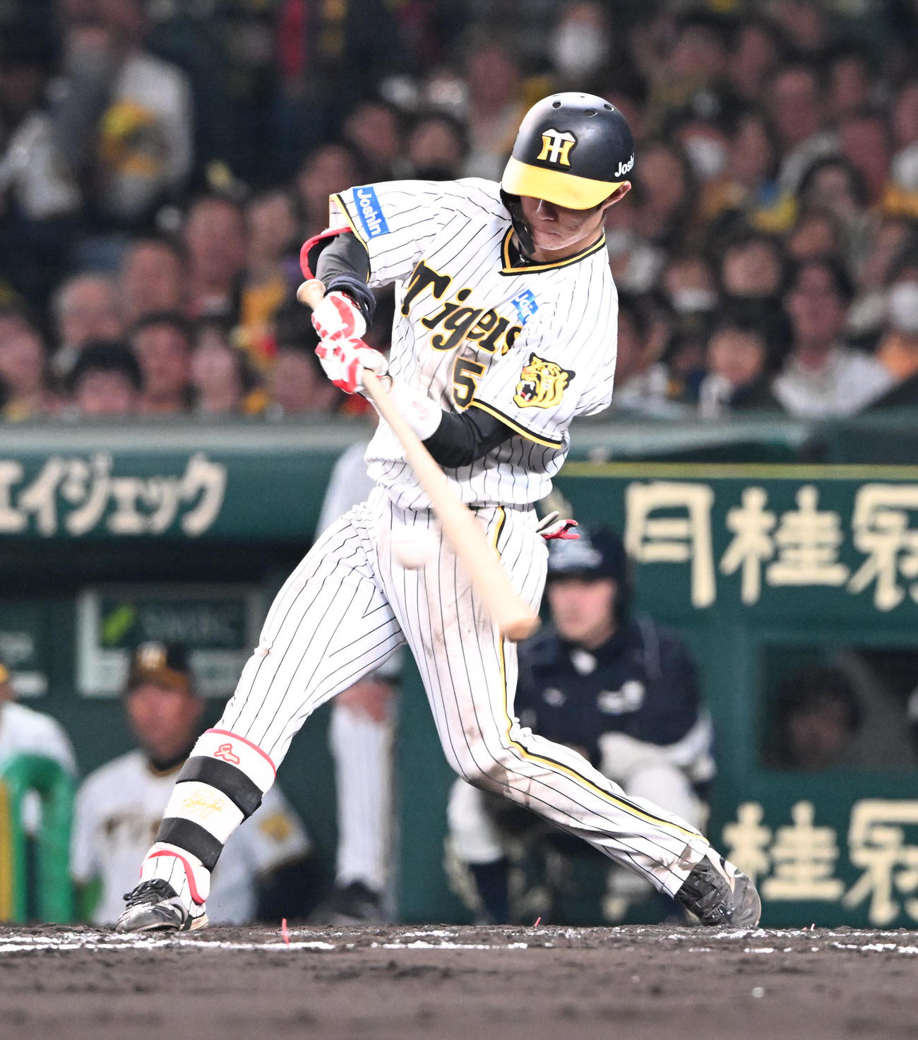 阪神中野拓夢（2023年11月2日撮影）