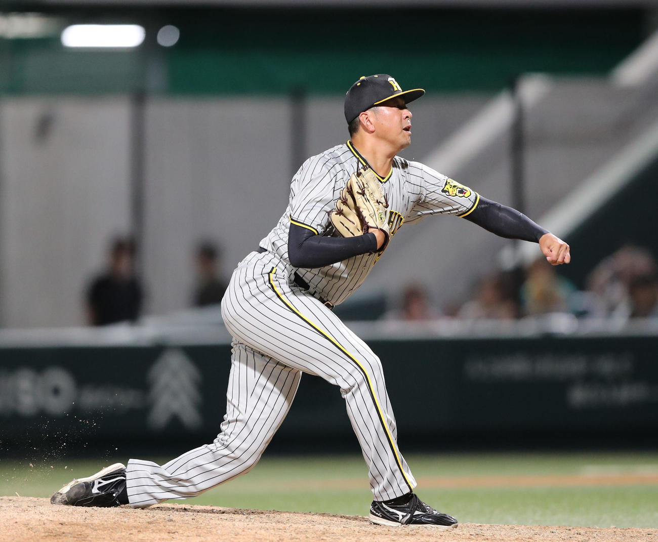 阪神時代の渡辺雄大（2023年8月25日撮影）