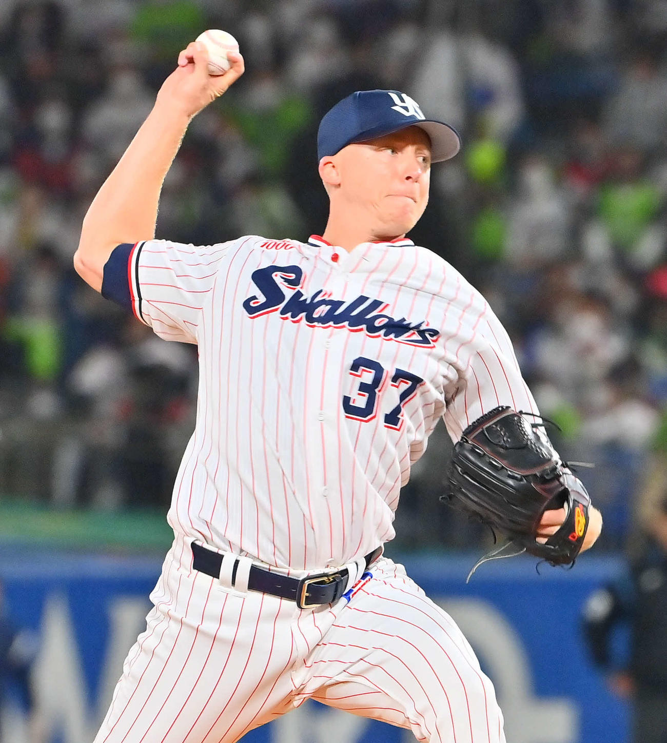 マクガフ（2022年10月撮影）