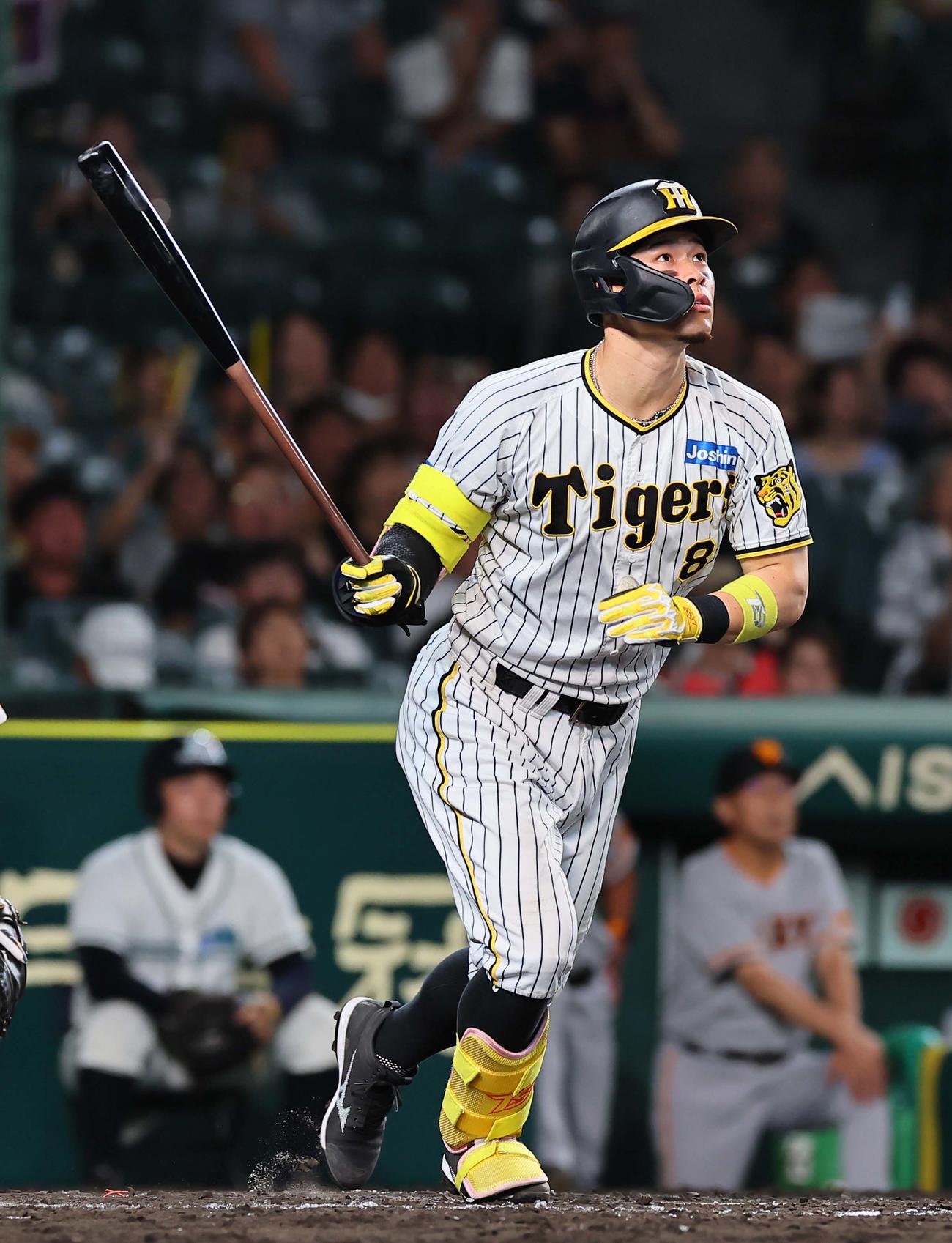 阪神佐藤輝明（2023年9月21日撮影）
