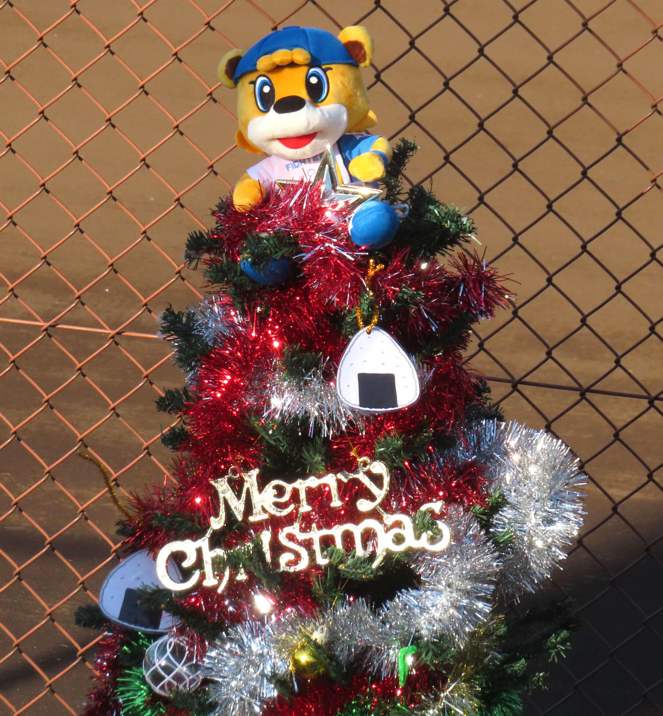 鎌スタ★クリスマス会2023で飾られたクリスマスツリー（撮影・黒須亮）