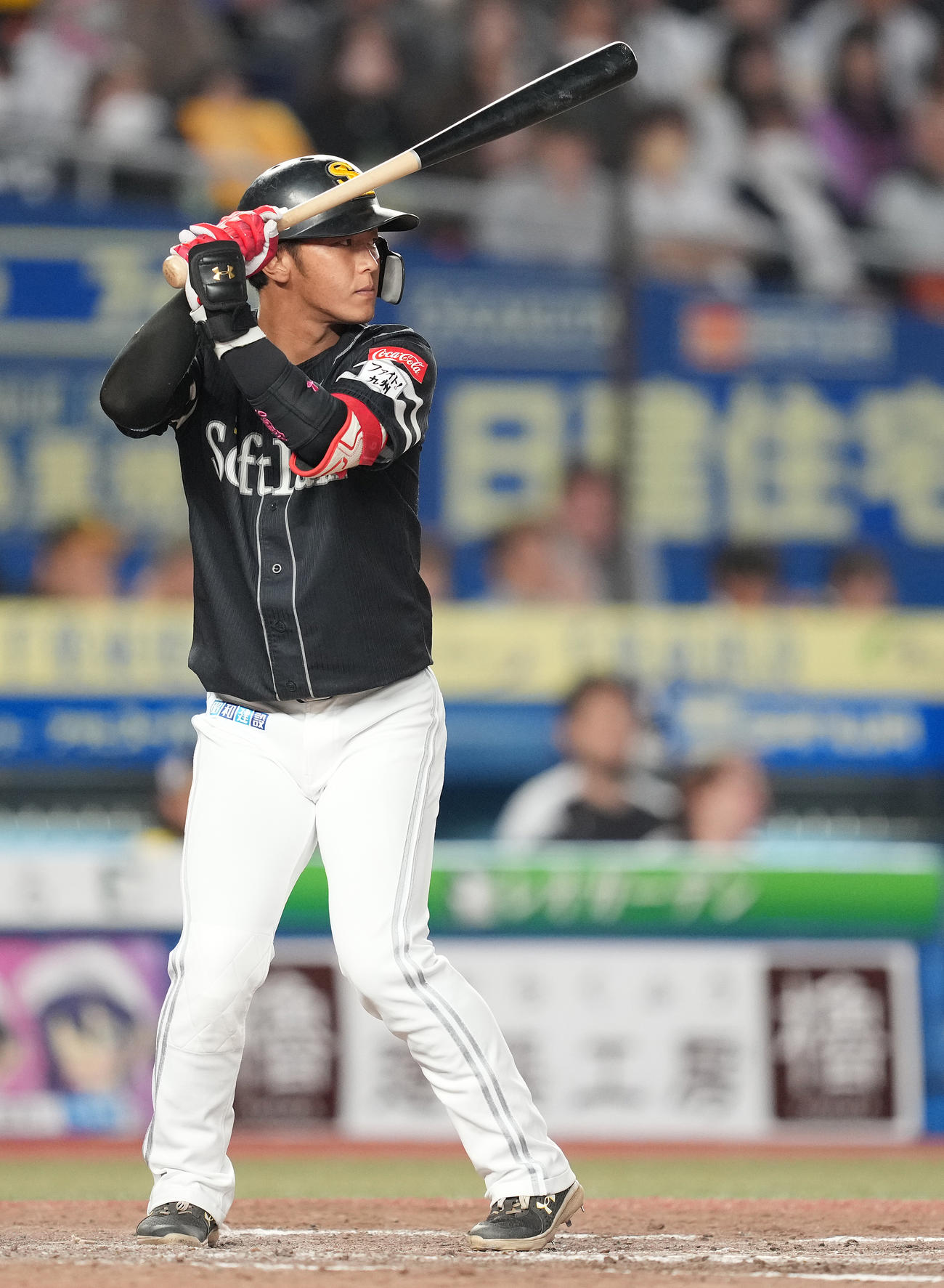 ソフトバンク今宮健太（2023年10月16日撮影）