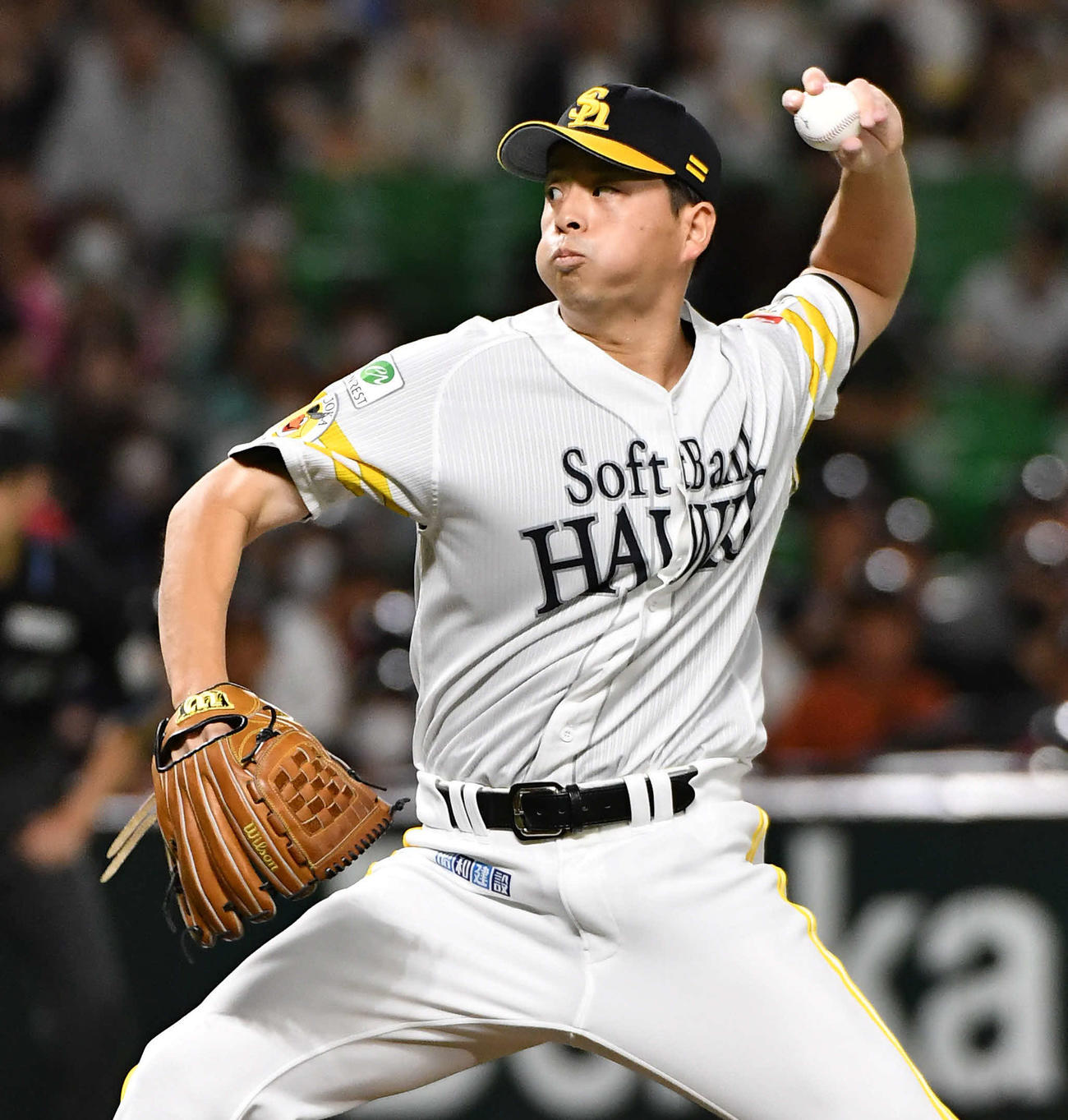 ソフトバンク大関（10月2日撮影）