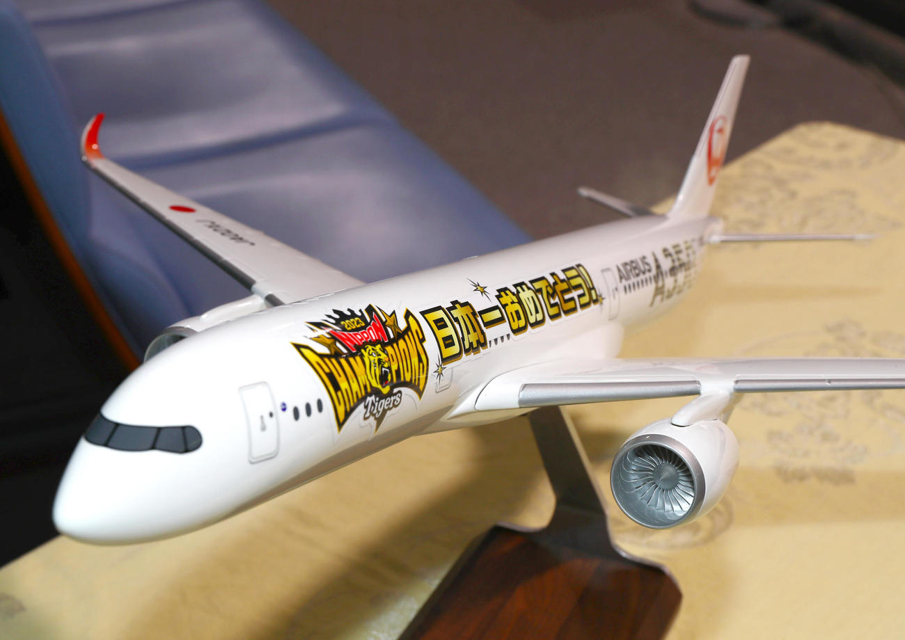 V旅行で贈られた飛行機の模型（撮影・上山淳一）