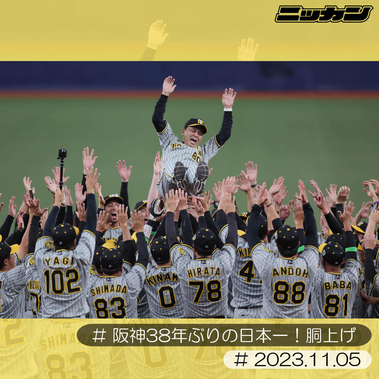 11月5日、38年ぶりの日本一を達成しナインに胴上げされる阪神岡田監督（撮影・前田充）