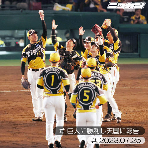 7月25日、故横田さんに勝利を報告するようなポーズをする阪神ナイン(撮影・加藤哉)