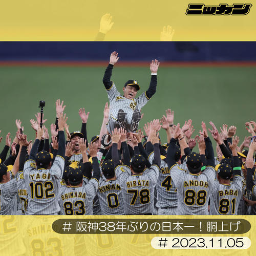 11月5日、38年ぶりの日本一を達成しナインに胴上げされる阪神岡田監督(撮影・前田充)